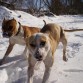 NORA CON SU HERMANO OTTO EN LA NIEVE